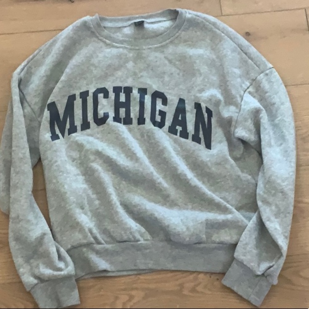 Gray Michigan Men's Sweater
